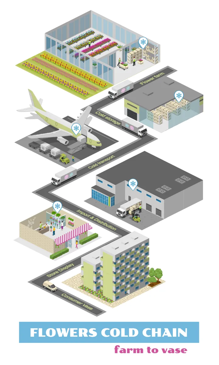 Flowers Cold Chain Logistics: Farm to Vase