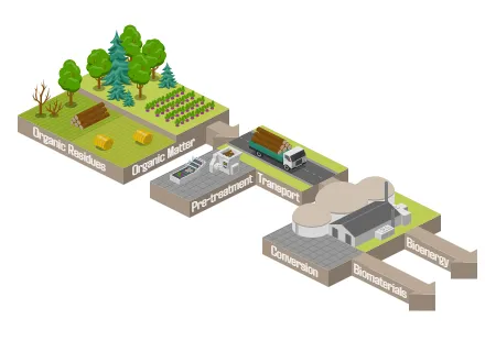 Biomass Value Chain