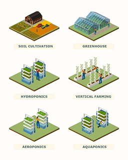 Controlled-Environment Agriculture