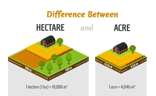 Difference Between Hectare and Acre