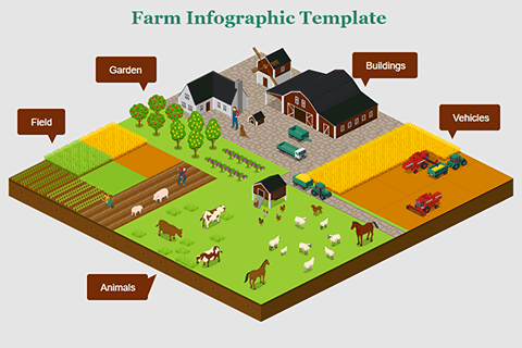 Farm Infographic