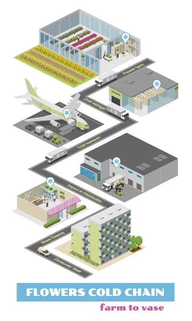 Flowers Cold Chain Logistics: Farm to Vase