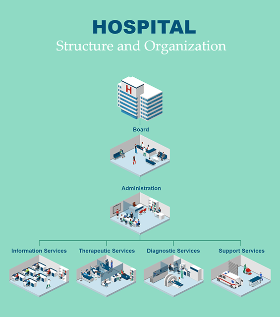 Hospital Structure and Organization