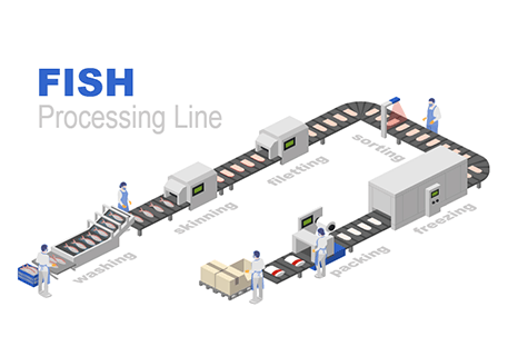 Fish Processing Line
