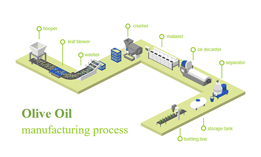 Olive Oil Manufacturing