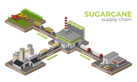 Sugarcane Supply Chain