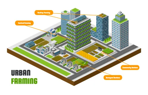 Urban Farming