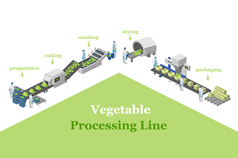Vegetable Processing Line